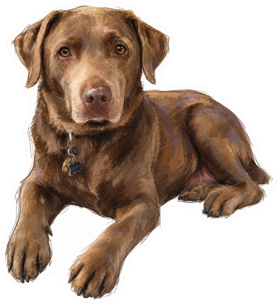 Howie sticker in Painterly Sketch