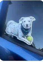 Lady Boo die-cut sticker on a car window
