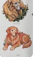 Two golden retriever stickers in painterly and realistic styles